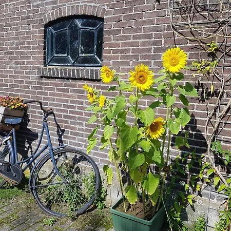 Het Voorhuis Boerderij Hoeve Vrede 게스트하우스 비스프