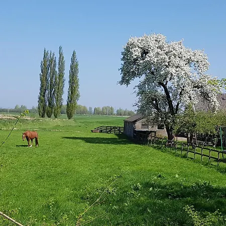 ゲストハウス Het Voorhuis Boerderij Hoeve Vrede ウェースプ