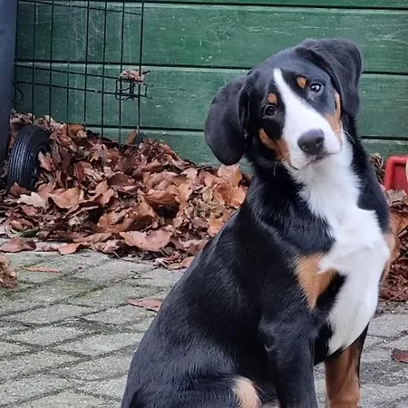 Het Voorhuis Boerderij Hoeve Vrede *